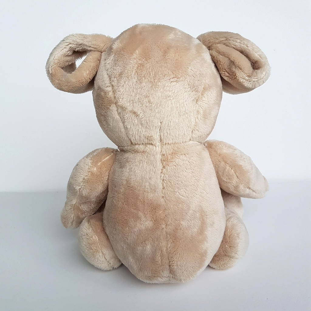 TED E BARE David Strassman Teddy Bear Plush 26cm Soft Toy Stuffed Animal FLAT4