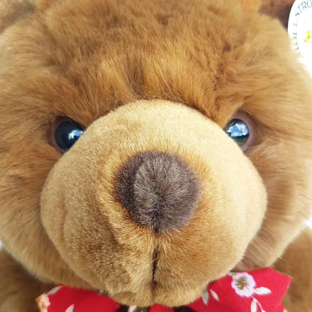 Stunning HOLLSTROM Chocolate Teddy Bear Plush 32cm TAGS Soft Toy Stuffed Animal7