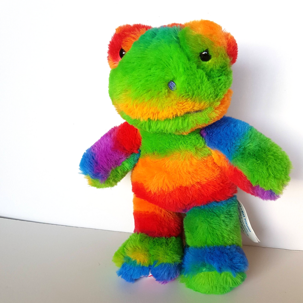 Build A Bear RAINBOW FROG 24cm Small Frys BUDDIES Plush Stuffed Animal Soft Toy3