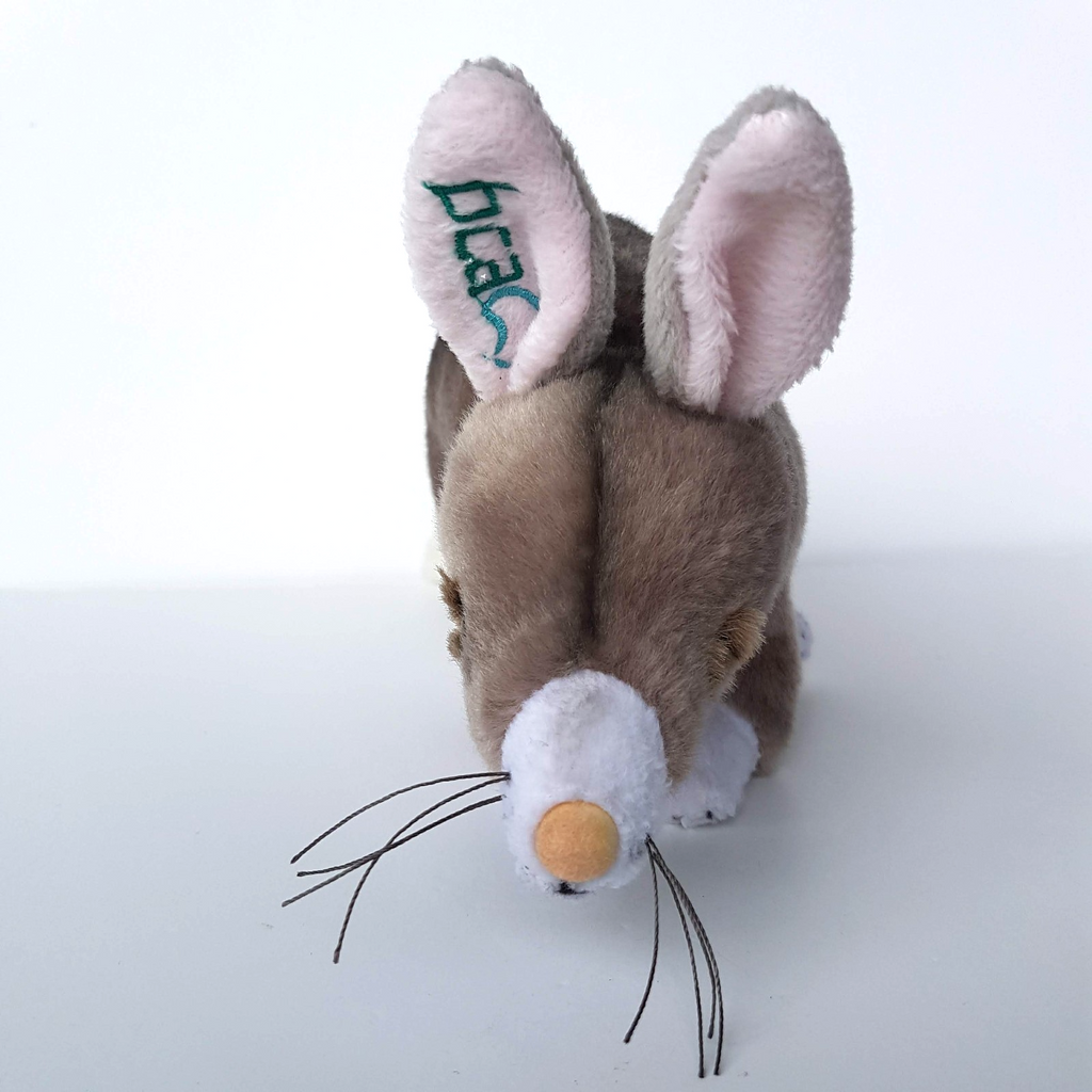 Bocchetta BILBY 30cms Plush BCA Logo Soft Toy Australian Native Stuffed Animal1