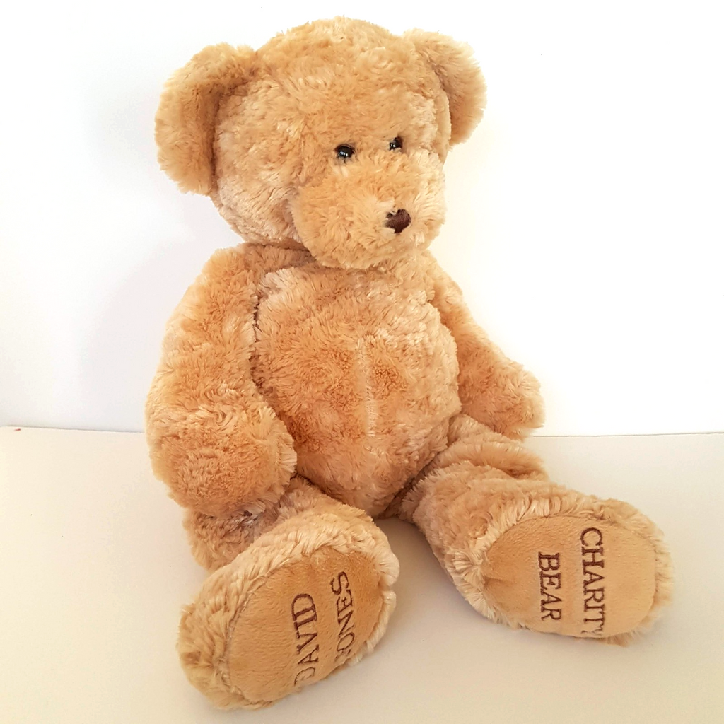 David Jones Large CHARITY BEAR Plush Floppy Teddy 44cm Soft Toy Stuffed Animal0