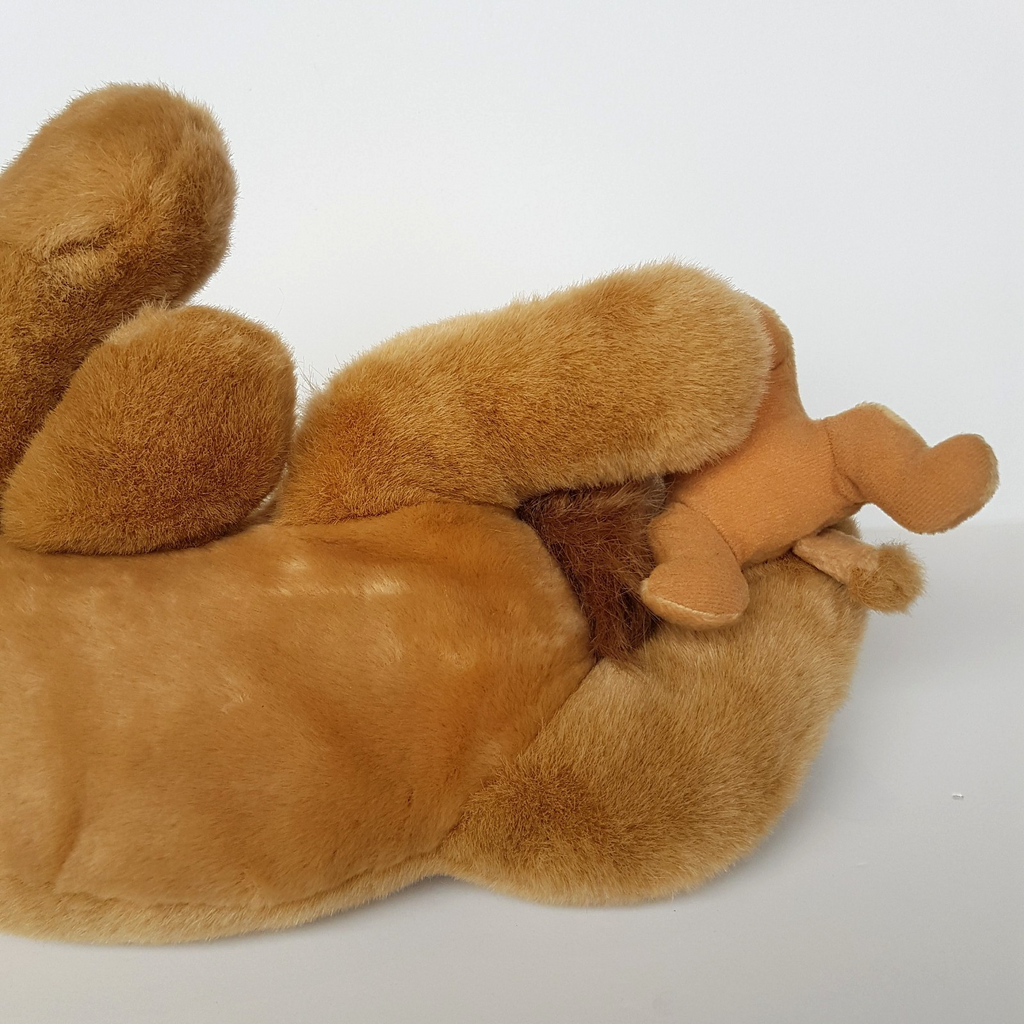 Corroboree LION & CUB WILD CAT Safari Plush Soft Toy Stuffed Animal CA Australia12