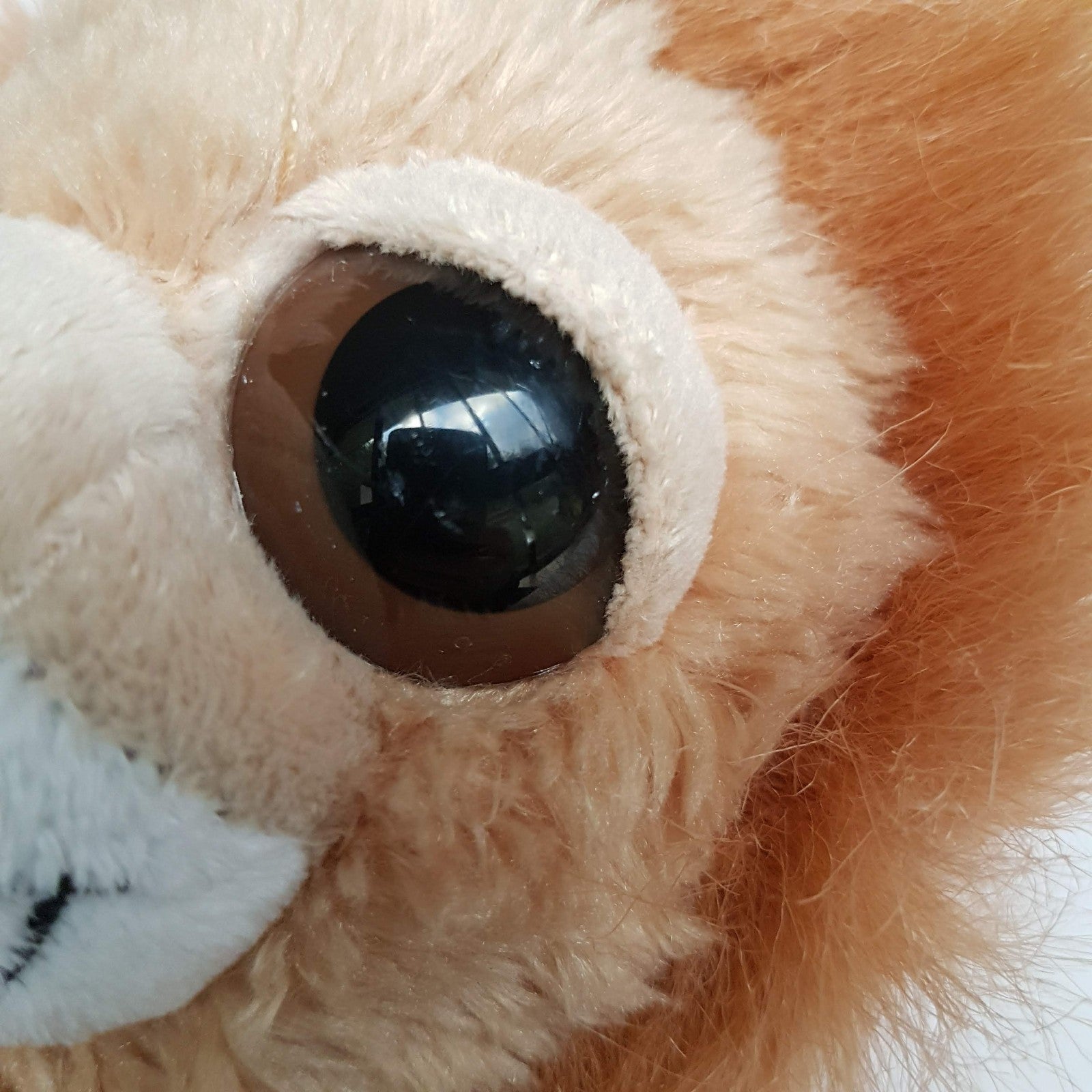 Korimco BIG EYE LION Plush Wild Cat Stuffed Animal Soft Toy Floppy Lil Peepers8