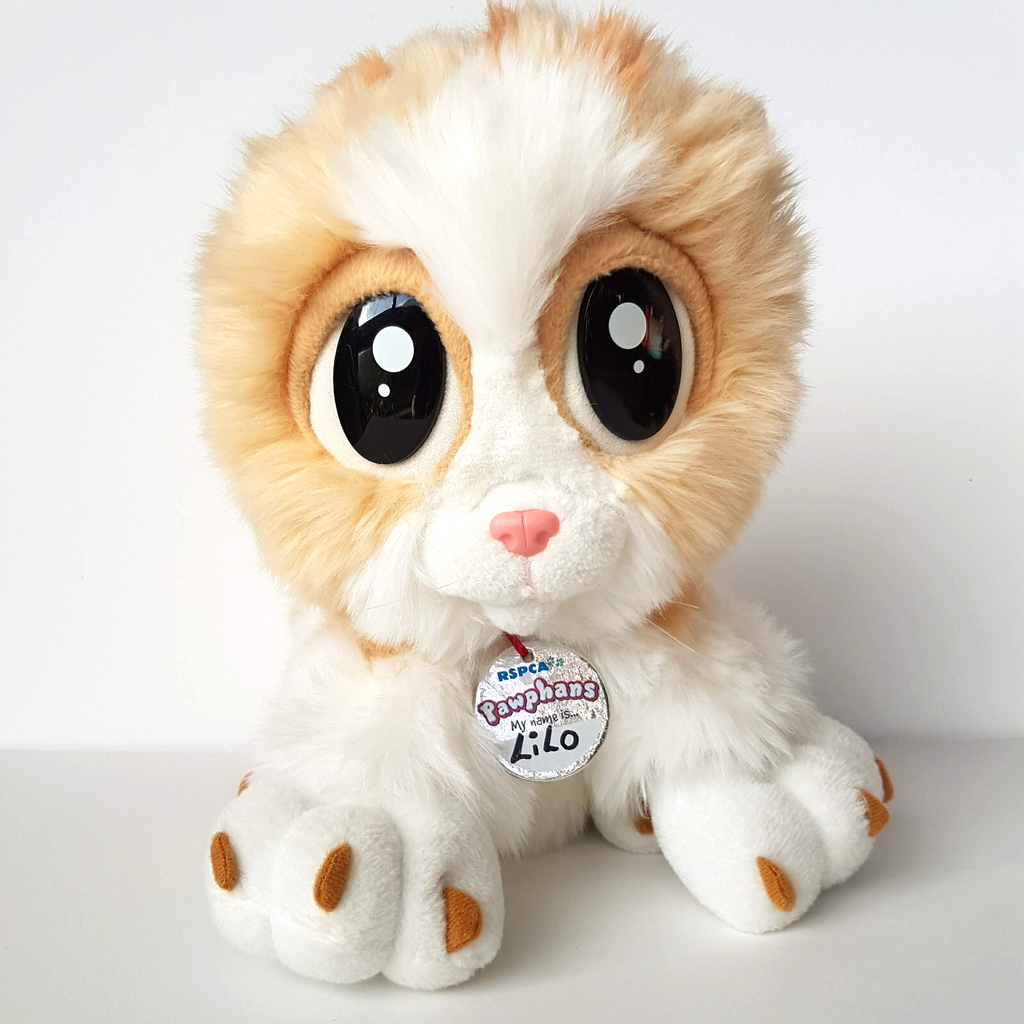 Pawphans RAGDOLL CAT GINGER KITTEN 25cm Plush 2005 Toy Stuffed Animal Pet RSPCA0