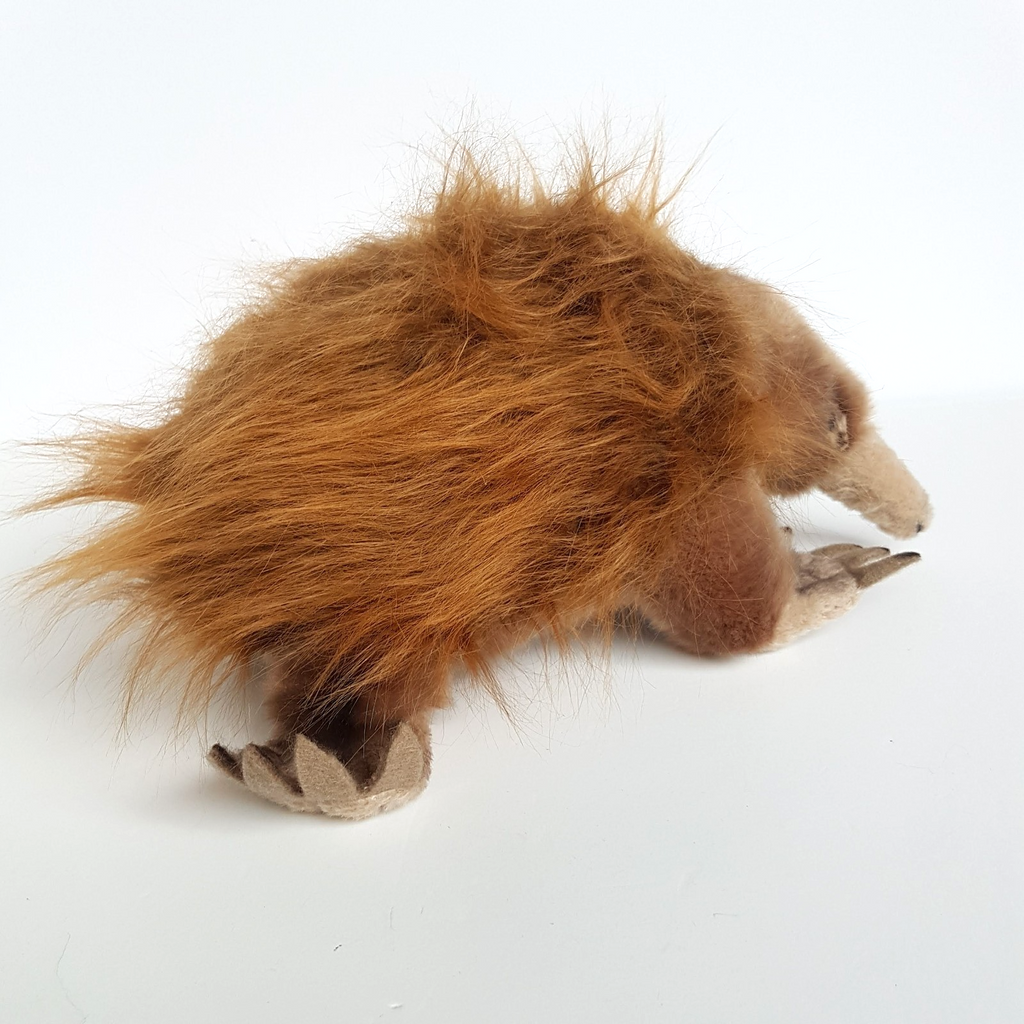 Bocchetta ECHIDNA ANT EATER Plush 25cm Stuffed Animal Soft Toy Australian Animal3