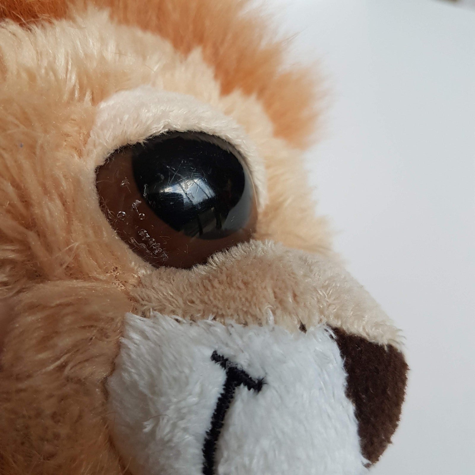 Korimco BIG EYE LION Plush Wild Cat Stuffed Animal Soft Toy Floppy Lil Peepers7