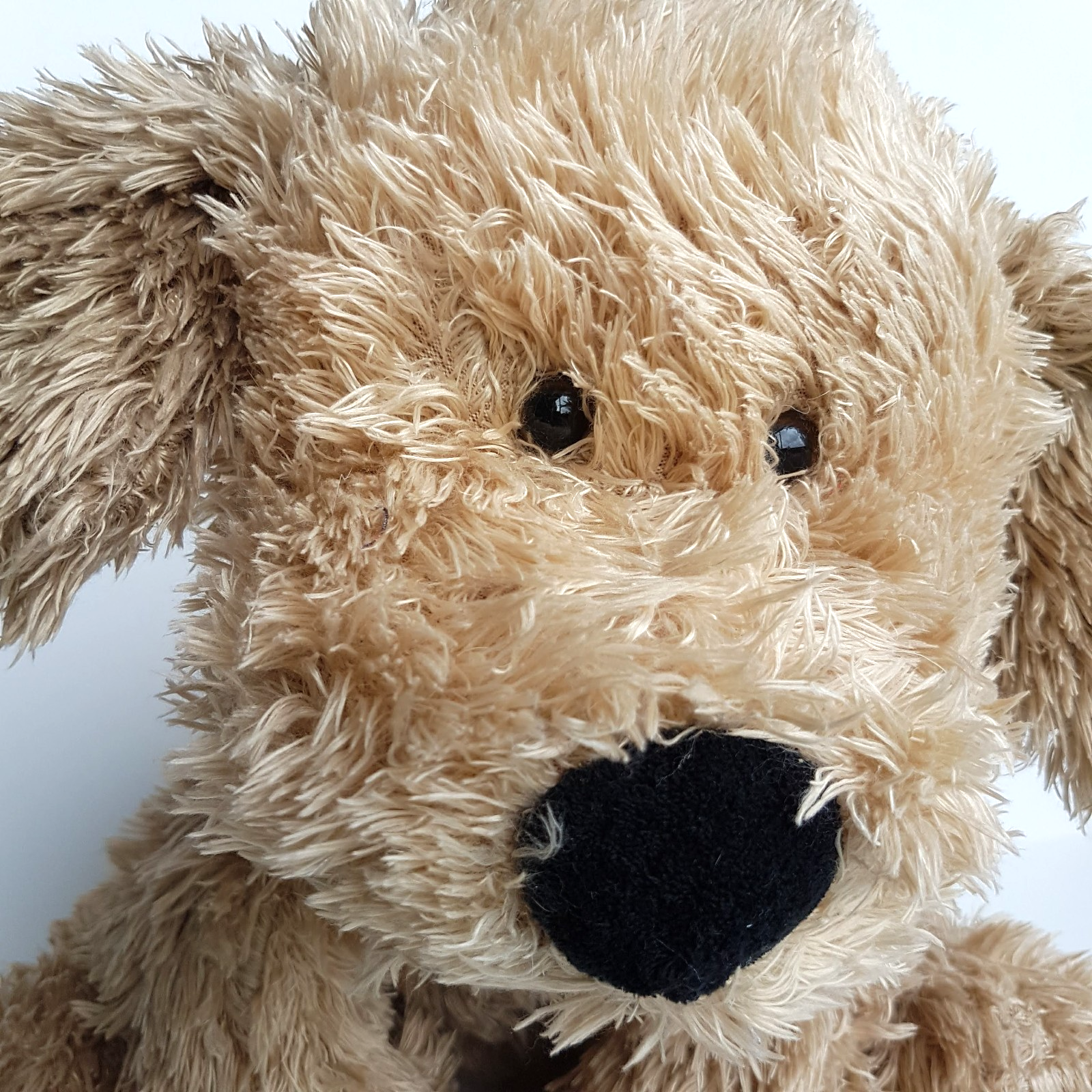 Teddy & Friends SCRUFFY DOG Floppy ADOPT ME 38cm Plush Stuffed Animal Soft Toy4