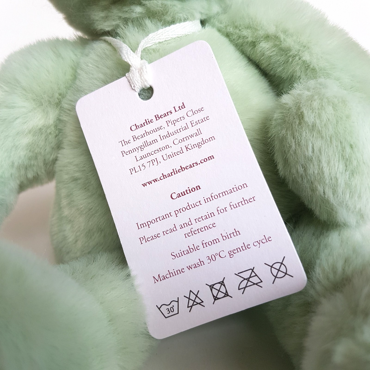 Charlie Bears FREDDY FROG 25cm Soft Plush Stuffed Animal TAGS M Peppermint Green5
