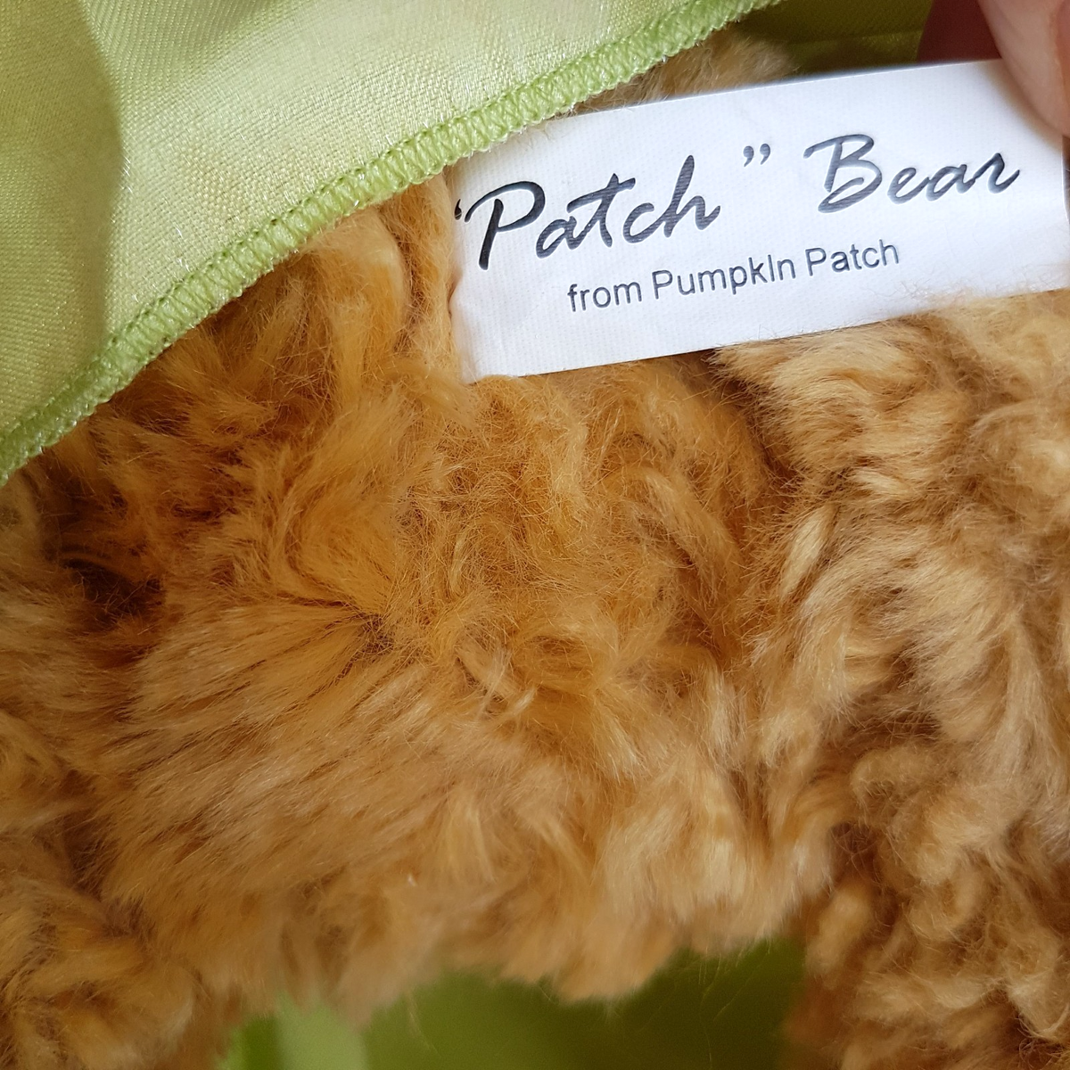 Rare Pumpkin Patch PATCH TEDDY Bear + Dress 34cm Plush Soft Toy Stuffed Animal10