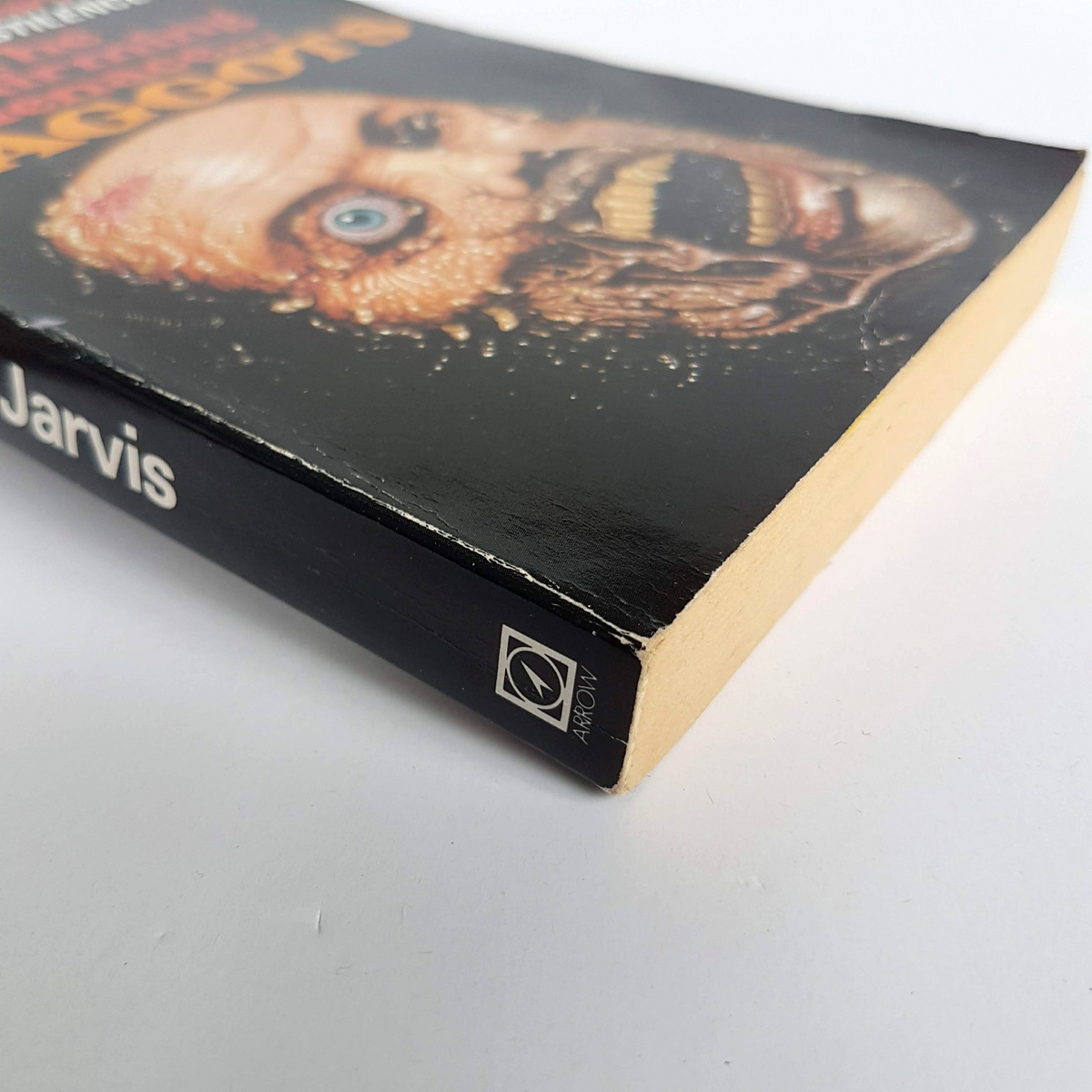 Rare 1986 MAGGOTS Edward Jarvis Book Horror Paperback Scary Novel Collectible12