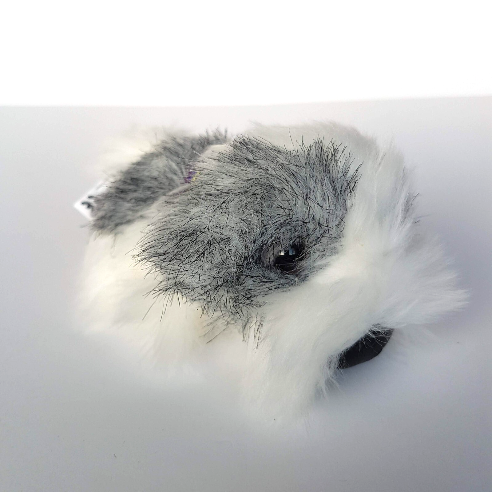 ARTLIST The Dog SHIH TZU Puppy Plush Soft Toy Pet Stuffed Animal Small Cute Toy0