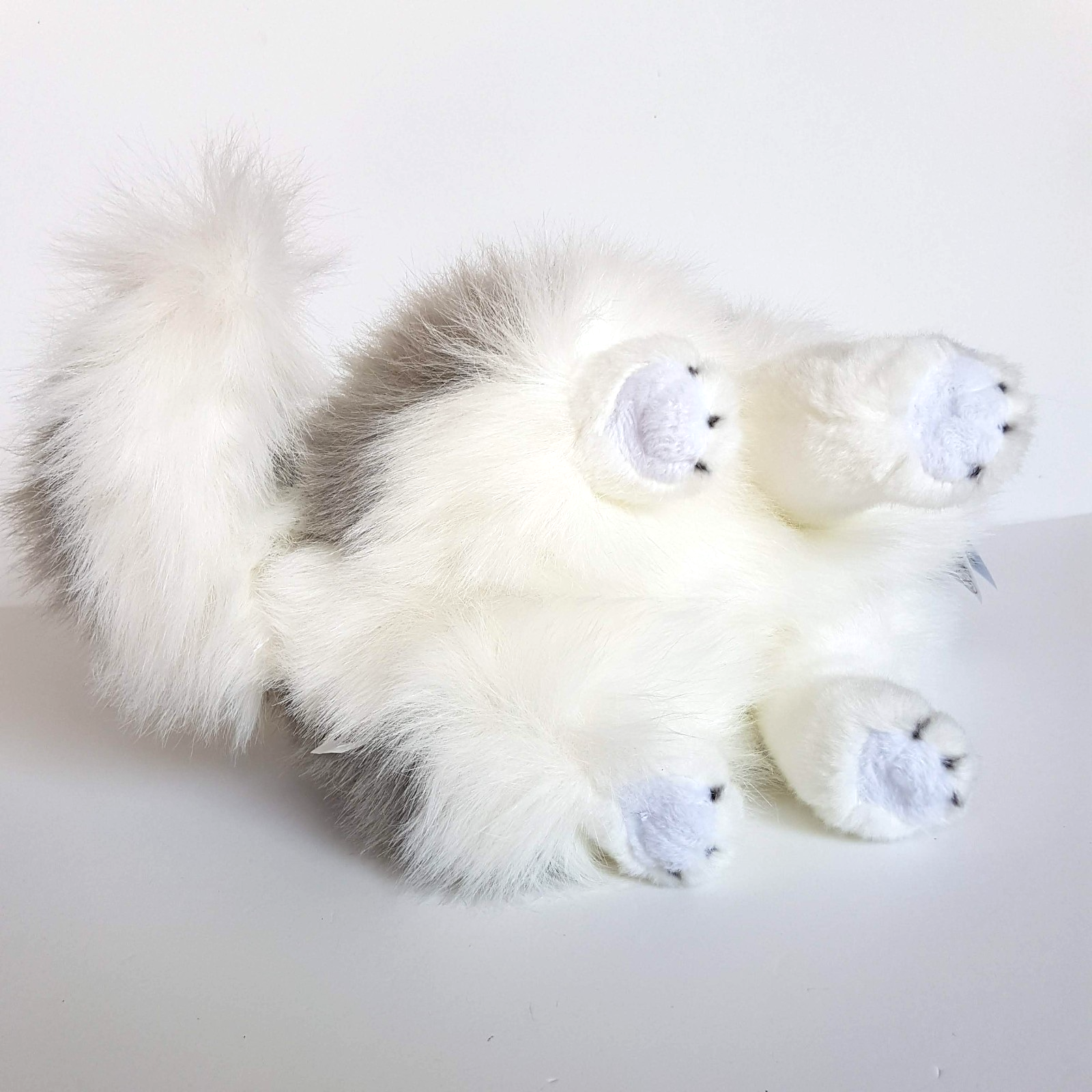 Bocchetta NORWEGIAN GREY CAT Realistic Missy Plush 30cm Stuffed Animal Soft Toy10