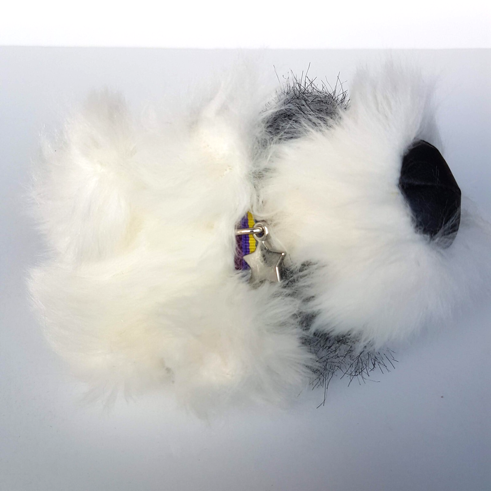ARTLIST The Dog SHIH TZU Puppy Plush Soft Toy Pet Stuffed Animal Small Cute Toy7