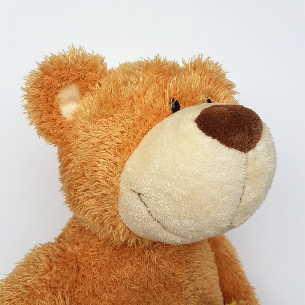 Large Nici ORANGE TEDDY BEAR 52cm Plush Floppy Soft Toy Flower Stuffed Animal1