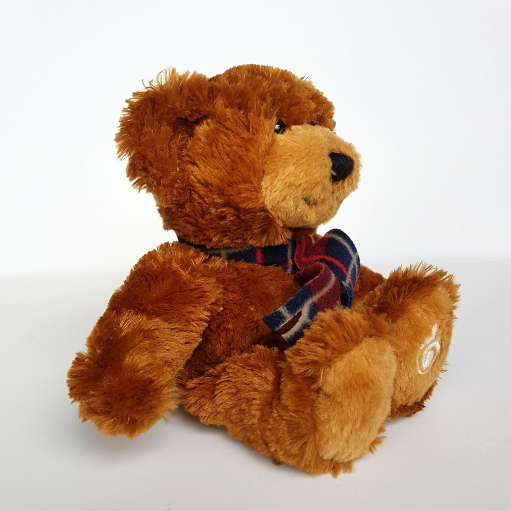 Tomfoolery DARE TO CARE HENRY Teddy Bear CentaCare 25cm Soft Toy Stuffed Animal1