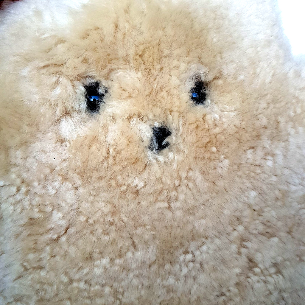 Oh Aldo 100% Australian Sheepskin FLAT BEAR Soft Toy 29cm Stuffed Animal Genuine5