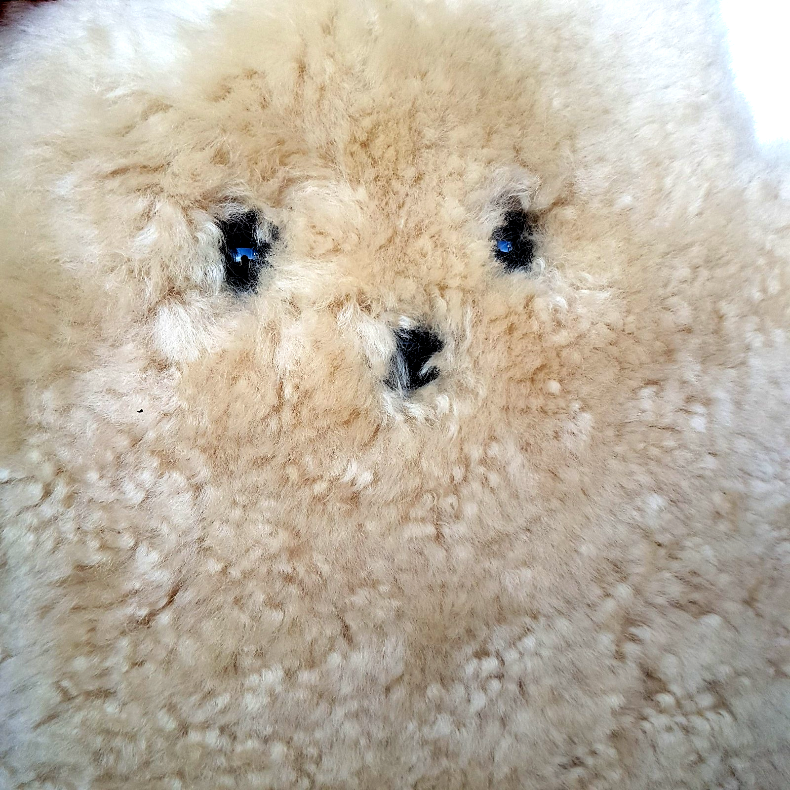 Oh Aldo 100% Australian Sheepskin FLAT BEAR Soft Toy 29cm Stuffed Animal Genuine5