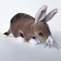 Bocchetta BILBY 30cms Plush BCA Logo Soft Toy Australian Native Stuffed Animal0