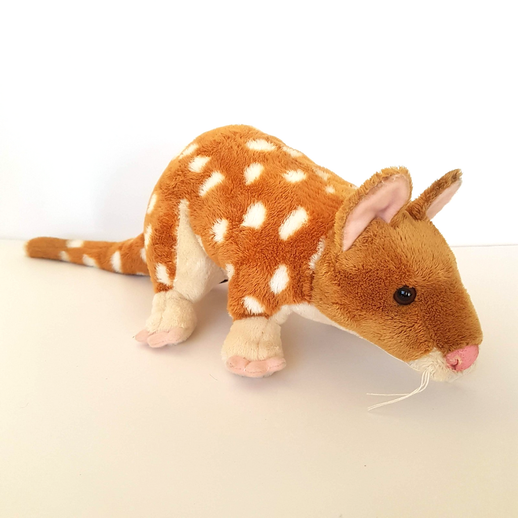 Rare Corroboree EASTERN QUOLL Plush 45cm long Soft Toy Stuffed Animal Cute0