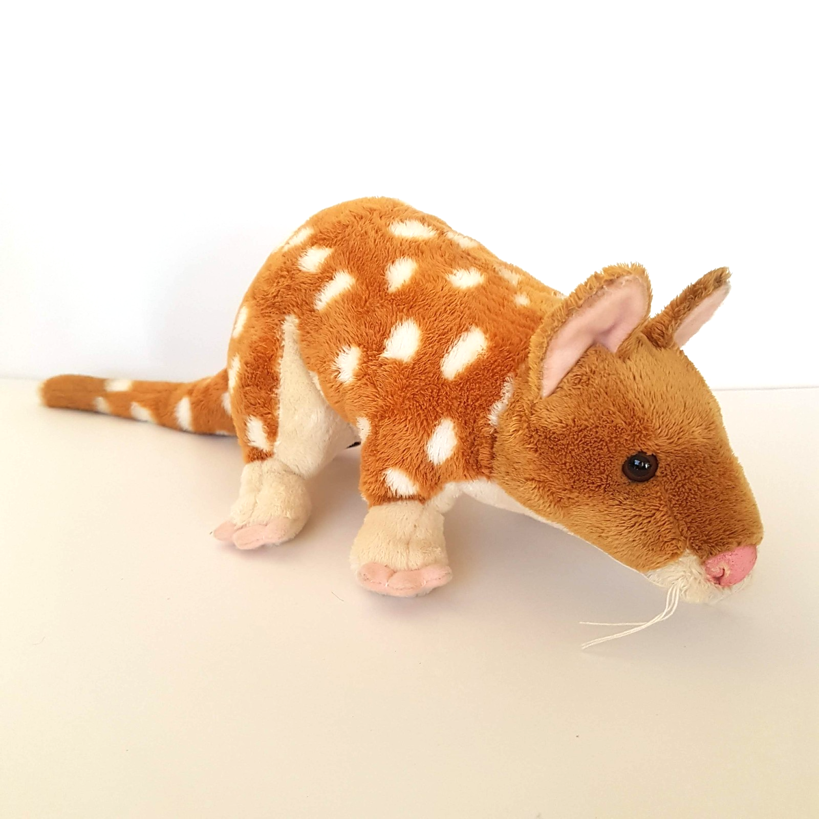 Rare Corroboree EASTERN QUOLL Plush 45cm long Soft Toy Stuffed Animal Cute0