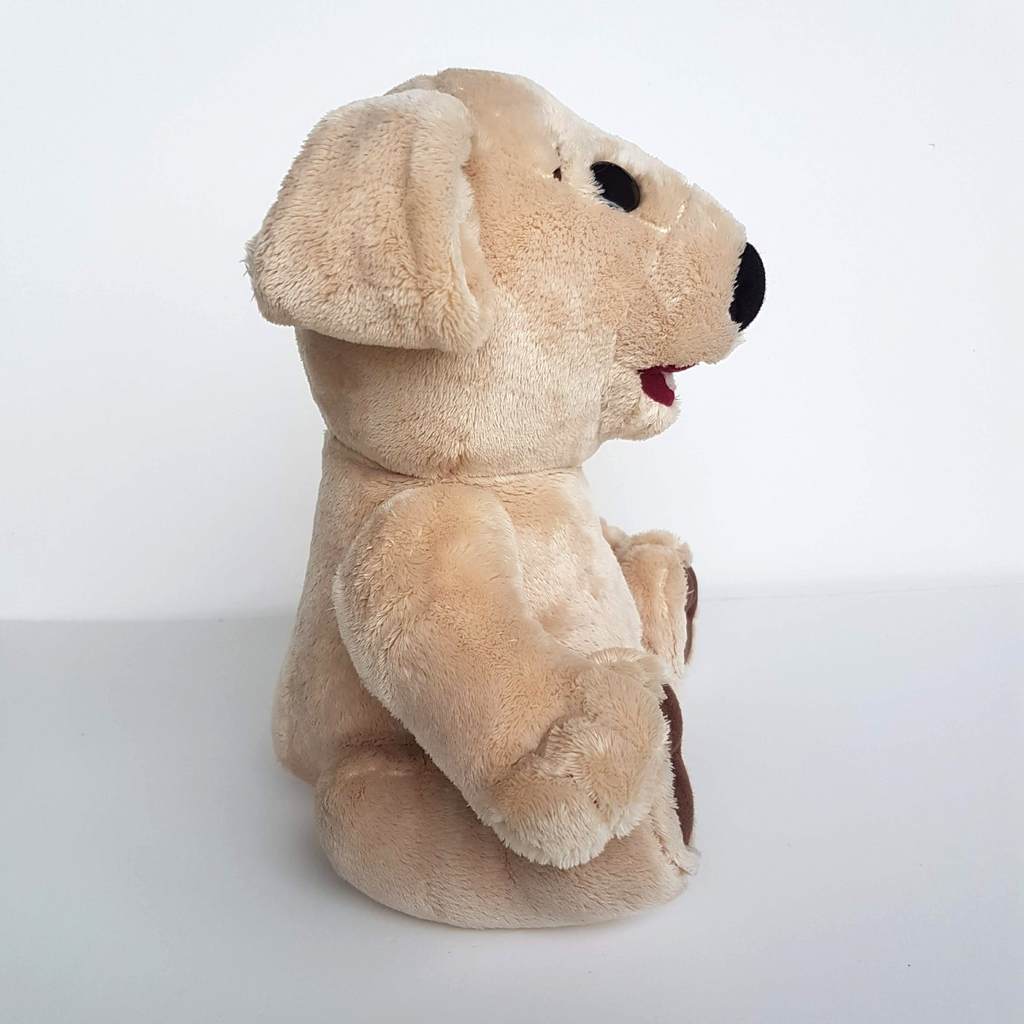 TED E BARE David Strassman Teddy Bear Plush 26cm Soft Toy Stuffed Animal FLAT3