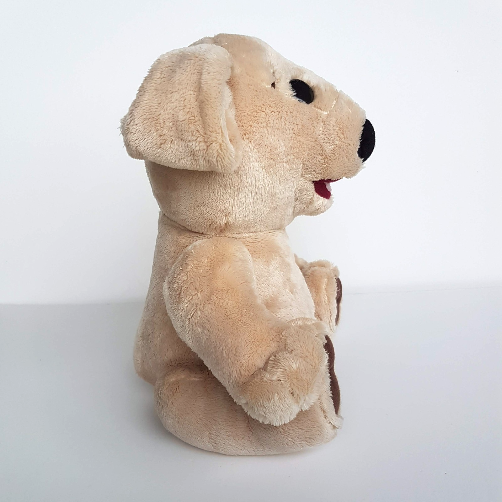 TED E BARE David Strassman Teddy Bear Plush 26cm Soft Toy Stuffed Animal FLAT3