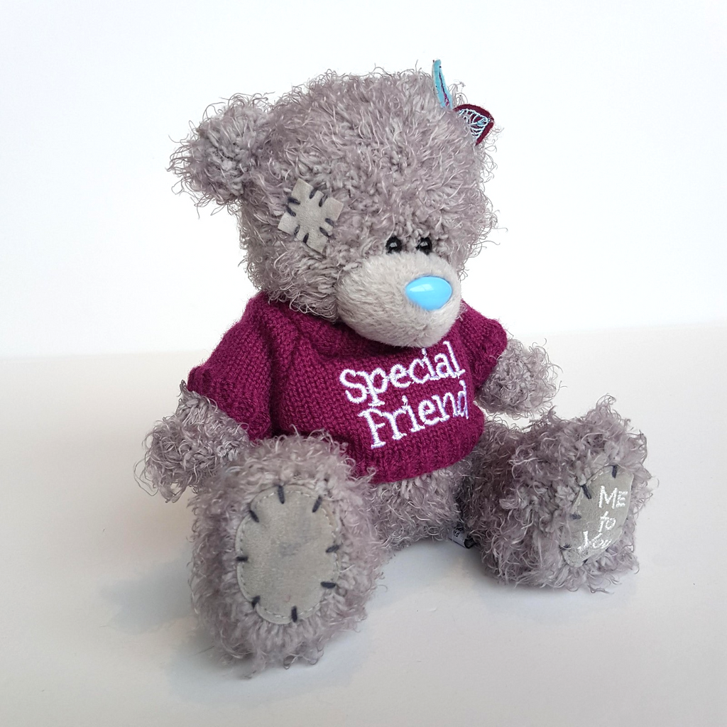Tatty Teddy SPECIAL FRIEND Me To You 15cm Bear Plush Soft Toy Stuffed Animal1