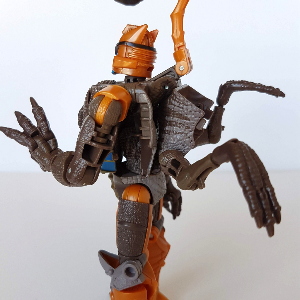 Transformers DINOBOT War For Cybertron Kingdom Dinosaur Figure Velociraptor Toy6