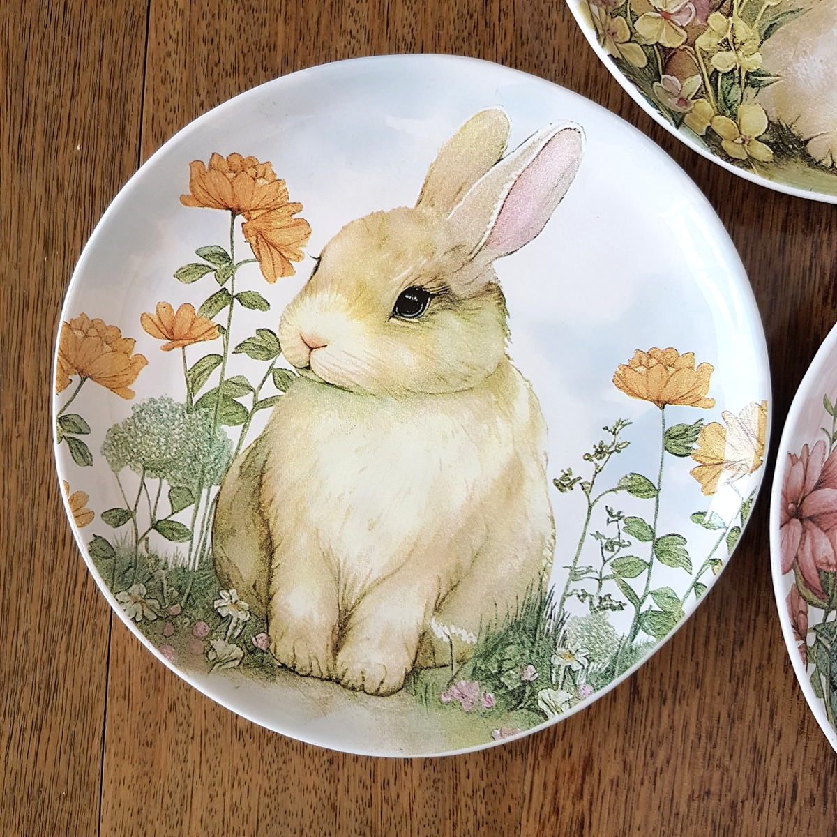Morgan & Finch BUNNY RABBIT PLATE SET x 3 Dolomite Flowers 22cm Spring Pastel2
