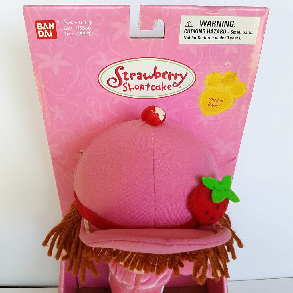 STRAWBERRY SHORTCAKE Berry Soft Friends Joggin' Days Pink Plush Rag Doll BOXED4