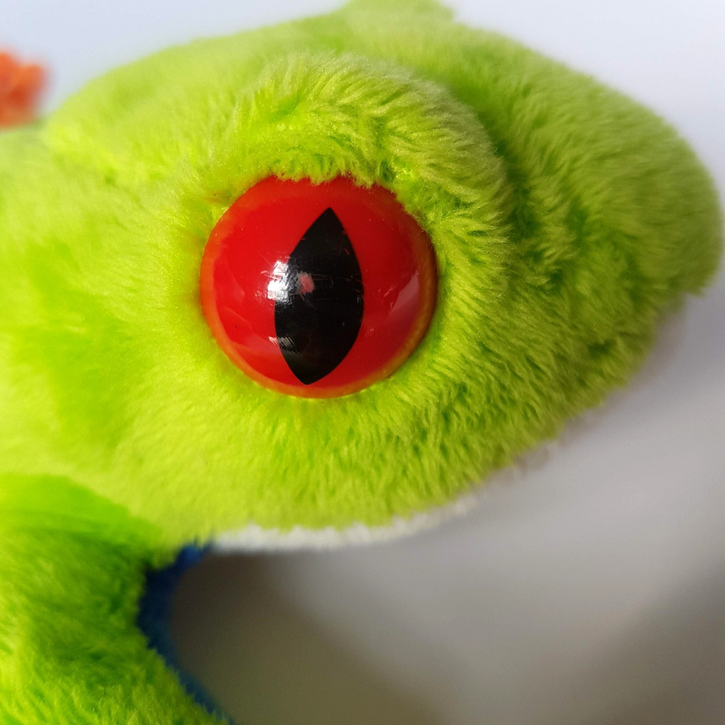 Neon RED EYED TREE FROG Plush 17cm Soft Toy Stuffed Animal Reptile Beanbag Toy7