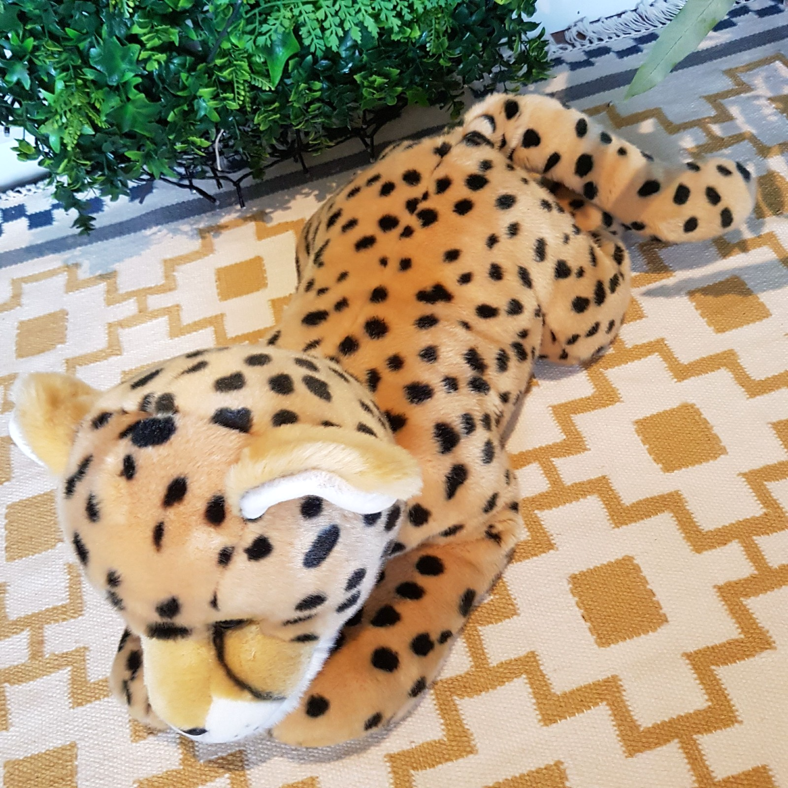 Large 63cm Long Korimco CHEETAH WILD CAT Plush Stuffed Animal Soft Toy Cuddly2