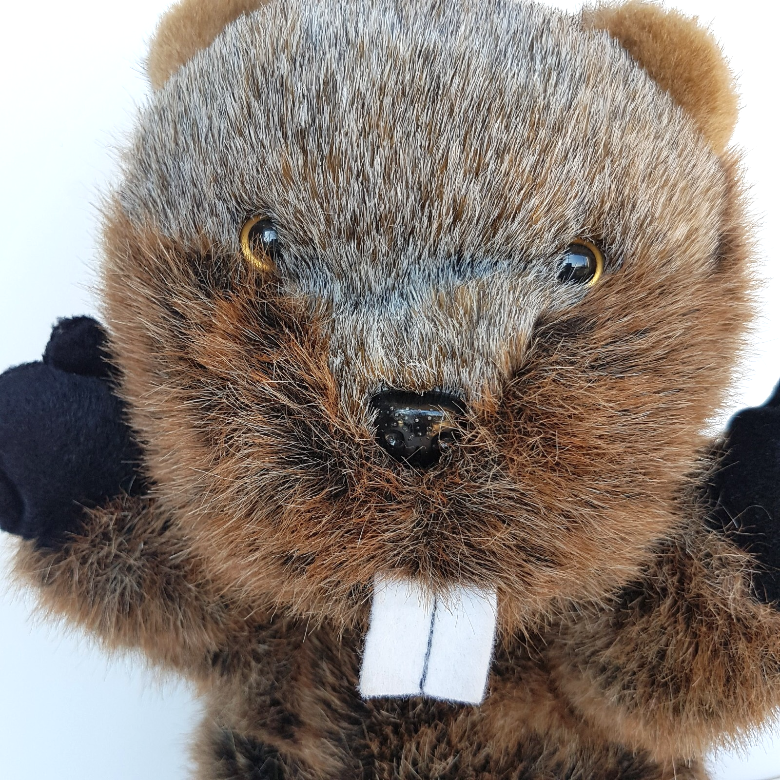 Chateau Whistler BEAVER GOLF CLUB COVER 35cm Soft Toy Cover Windsor Canada3