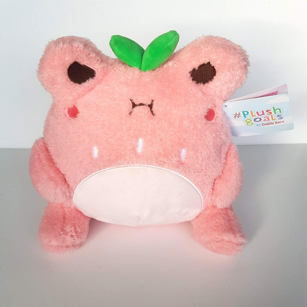 Cuddle Barn STRAWBERRY WAWA Froggie Frog Plush Goals Soft Toy Stuffed Animal1