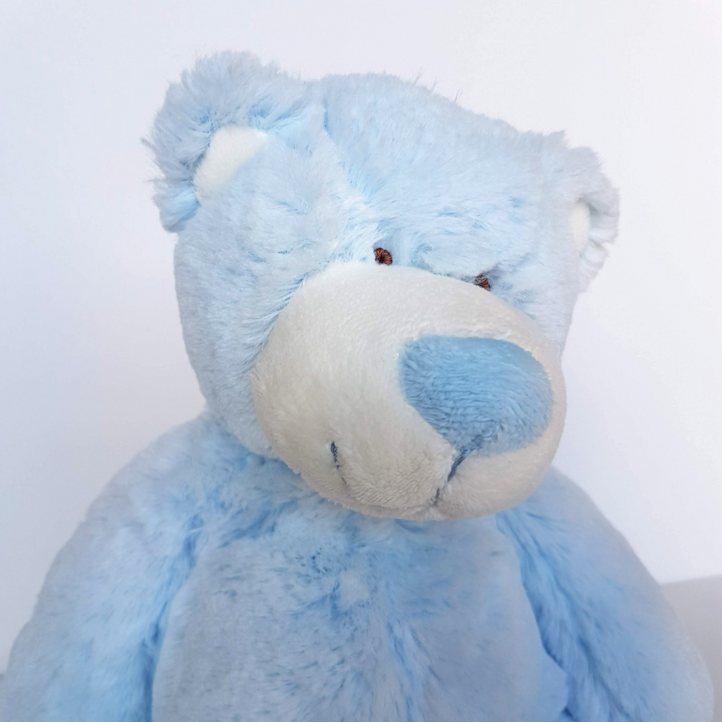 Minkplush THOMAS BLUE TEDDY BEAR Floppy Plush Soft Toy 30cm Stuffed Animal Cute1