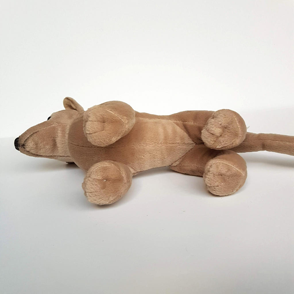 Korimco TASMANIAN TIGER Thylacine Wild Cat Plush Stuffed Animal Small Soft Toy6