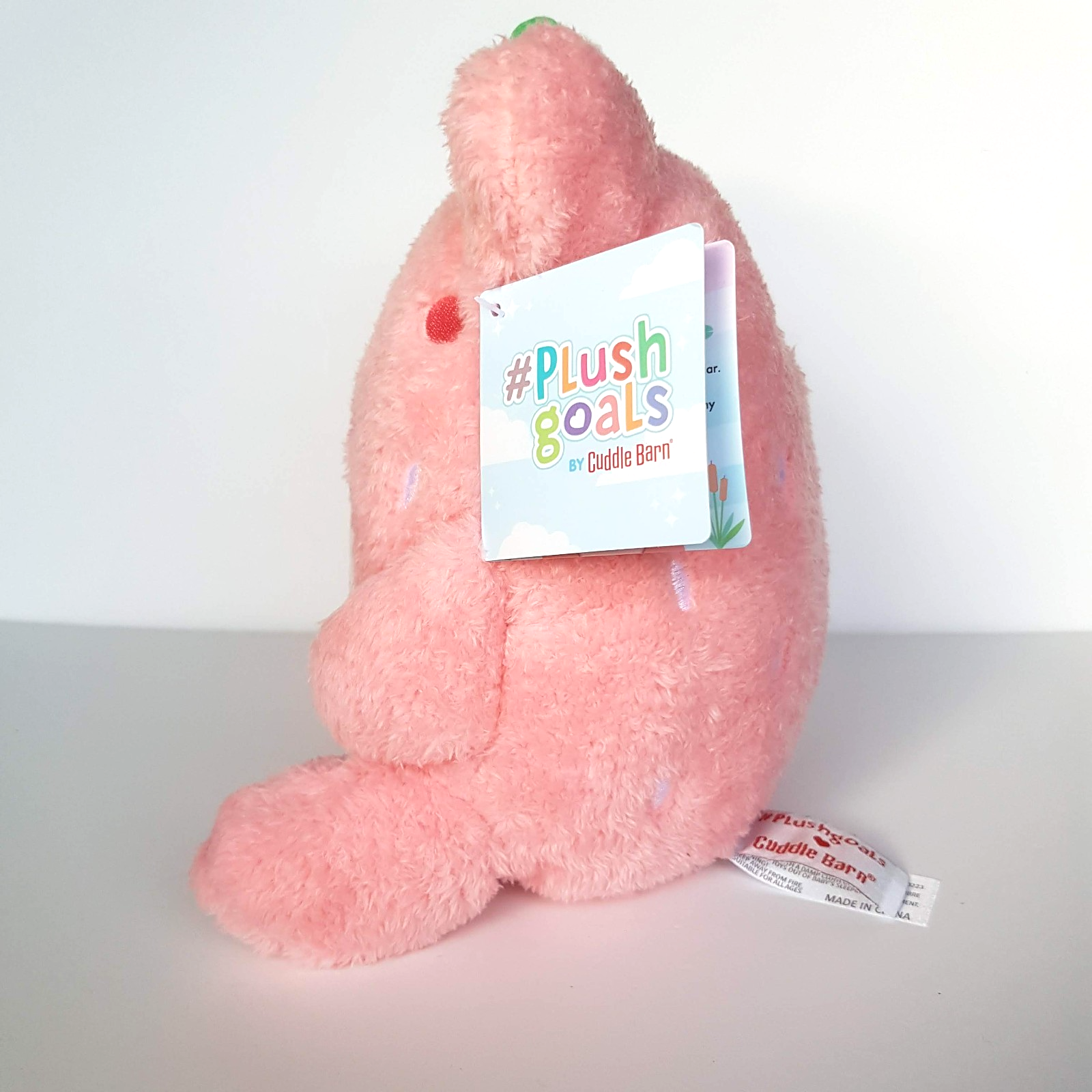 Cuddle Barn STRAWBERRY WAWA Froggie Frog Plush Goals Soft Toy Stuffed Animal7