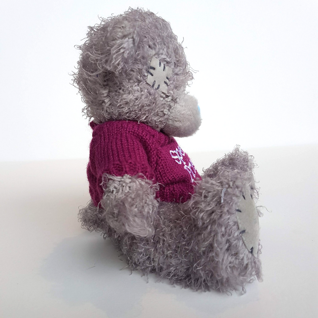 Tatty Teddy SPECIAL FRIEND Me To You 15cm Bear Plush Soft Toy Stuffed Animal4