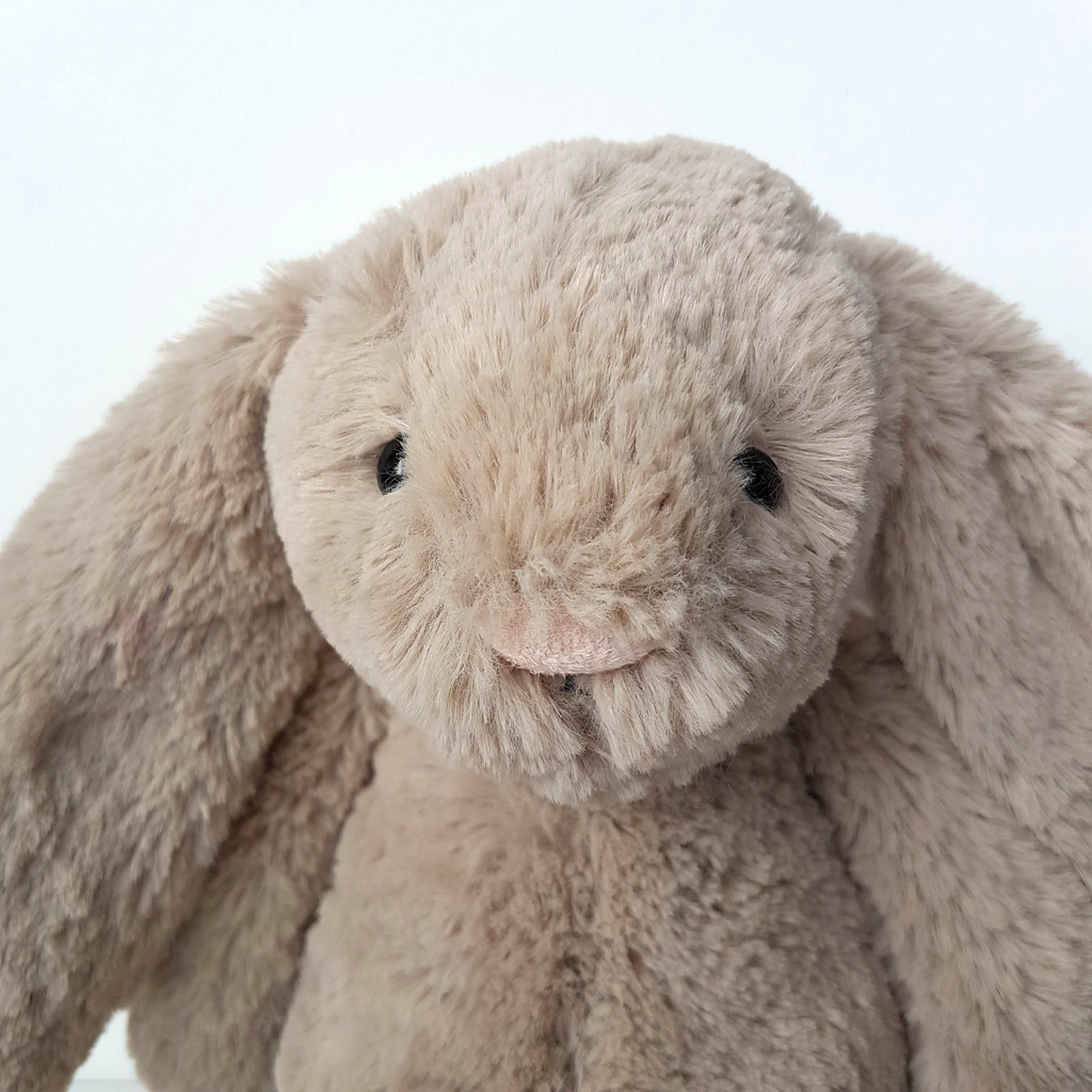 Jellycat BEIGE BASHFUL BUNNY Medium 12" Plush Stuffed Animal Soft Toy2
