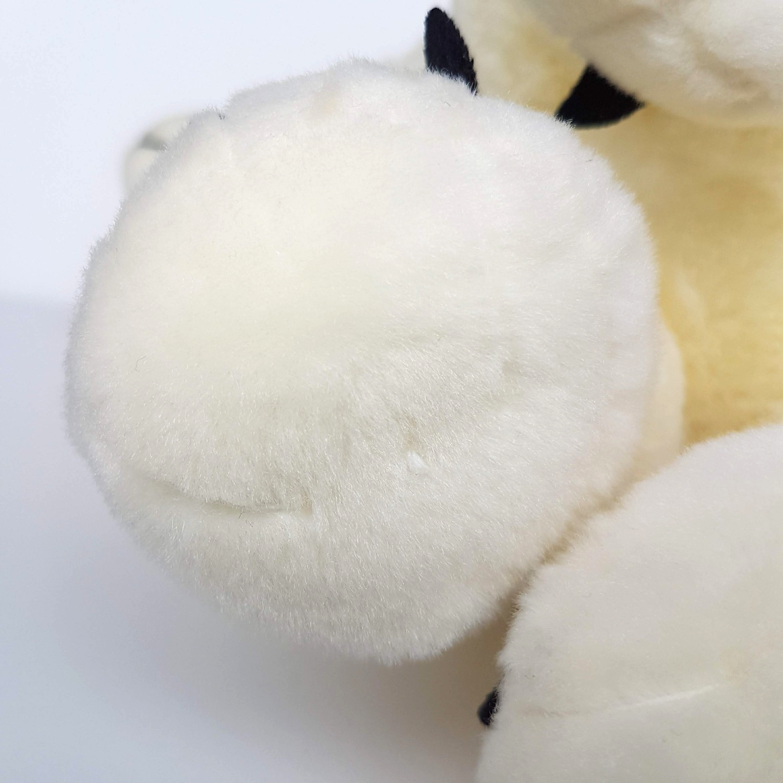 Sea World POLAR BEAR 34cm Plush Stuffed Animal Wild Soft Toy Snow Animals Cute11