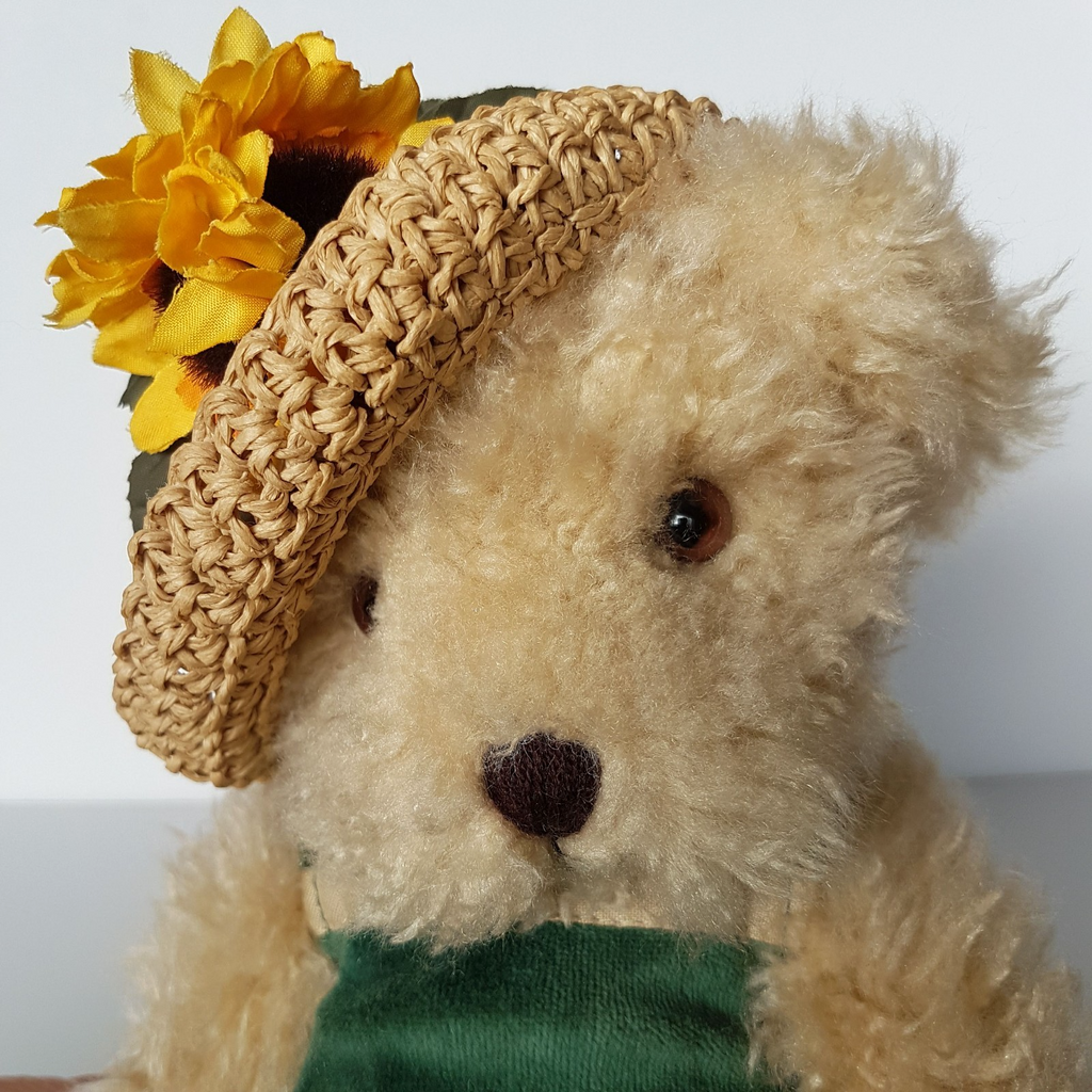 SETTLER BEARS Teddy Plush 5 Way Jointed 31cm Dress Stuffed Animal Soft Toy Cute9