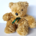 Plush Teddy KIDS BACKPACK Bag Stuffed Animal Bear Soft Toy 49cm School Bag Cute0