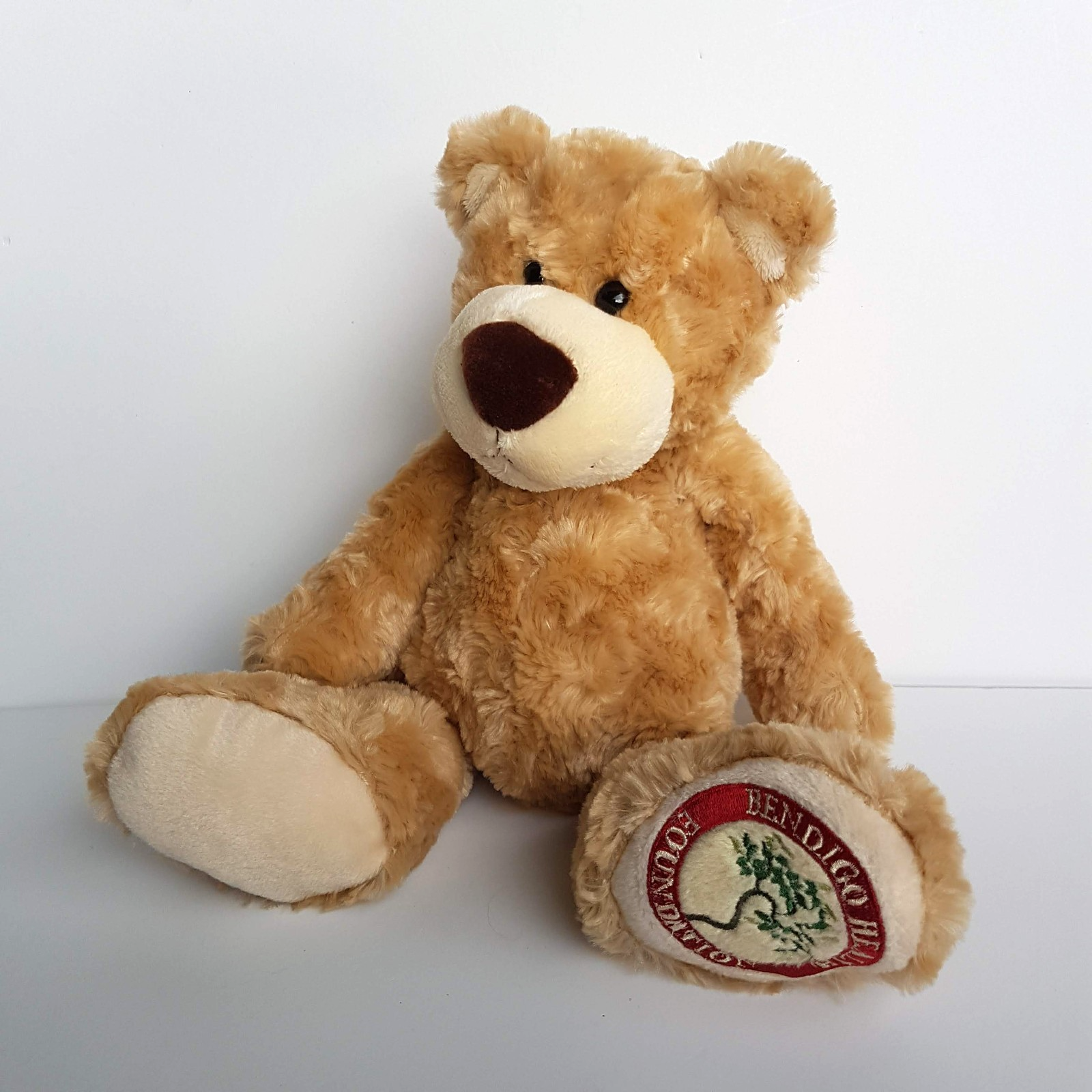 Tomfoolery BENDIGO HEALTH FOUNDATION Teddy Bear Plush Stuffed Animal Soft Toy4