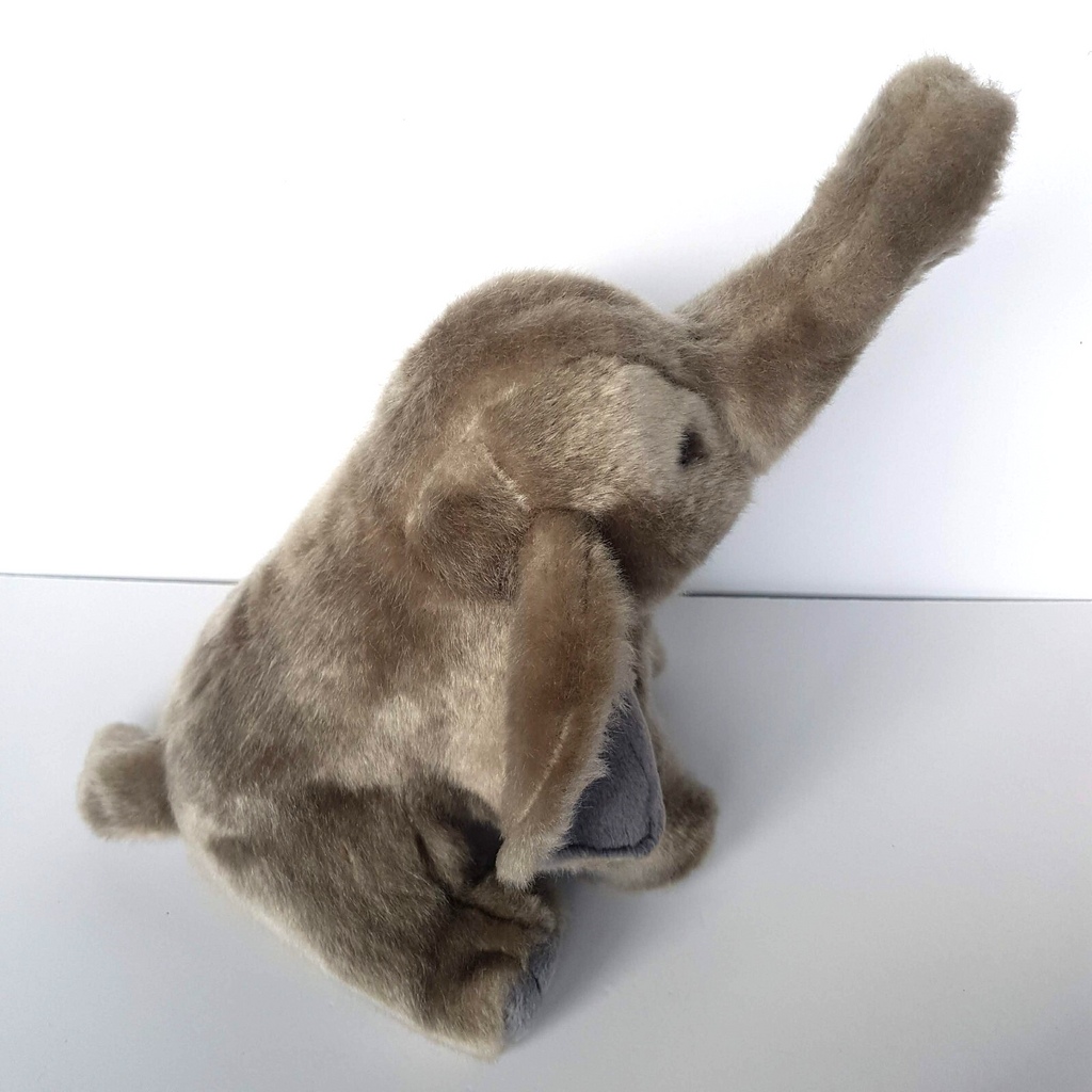 Melbourne Zoo ELEPHANT Plush Grey 25cm Stuffed Animal Soft Toy TAG Cute Cuddly5