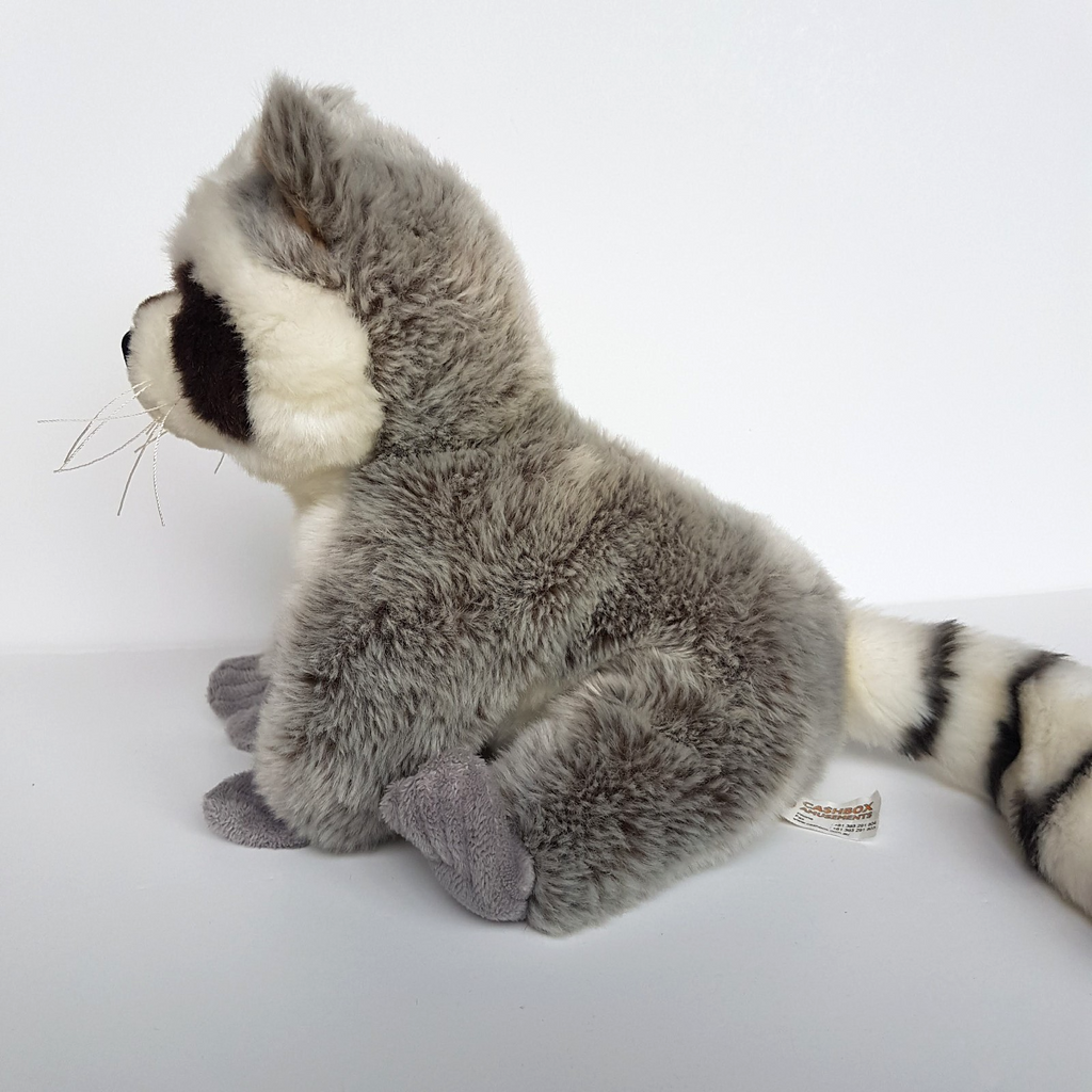 Cashbox Amusements RACCOON Plush 24cm tall Soft Toy Wild Stuffed Animal Cuddly5