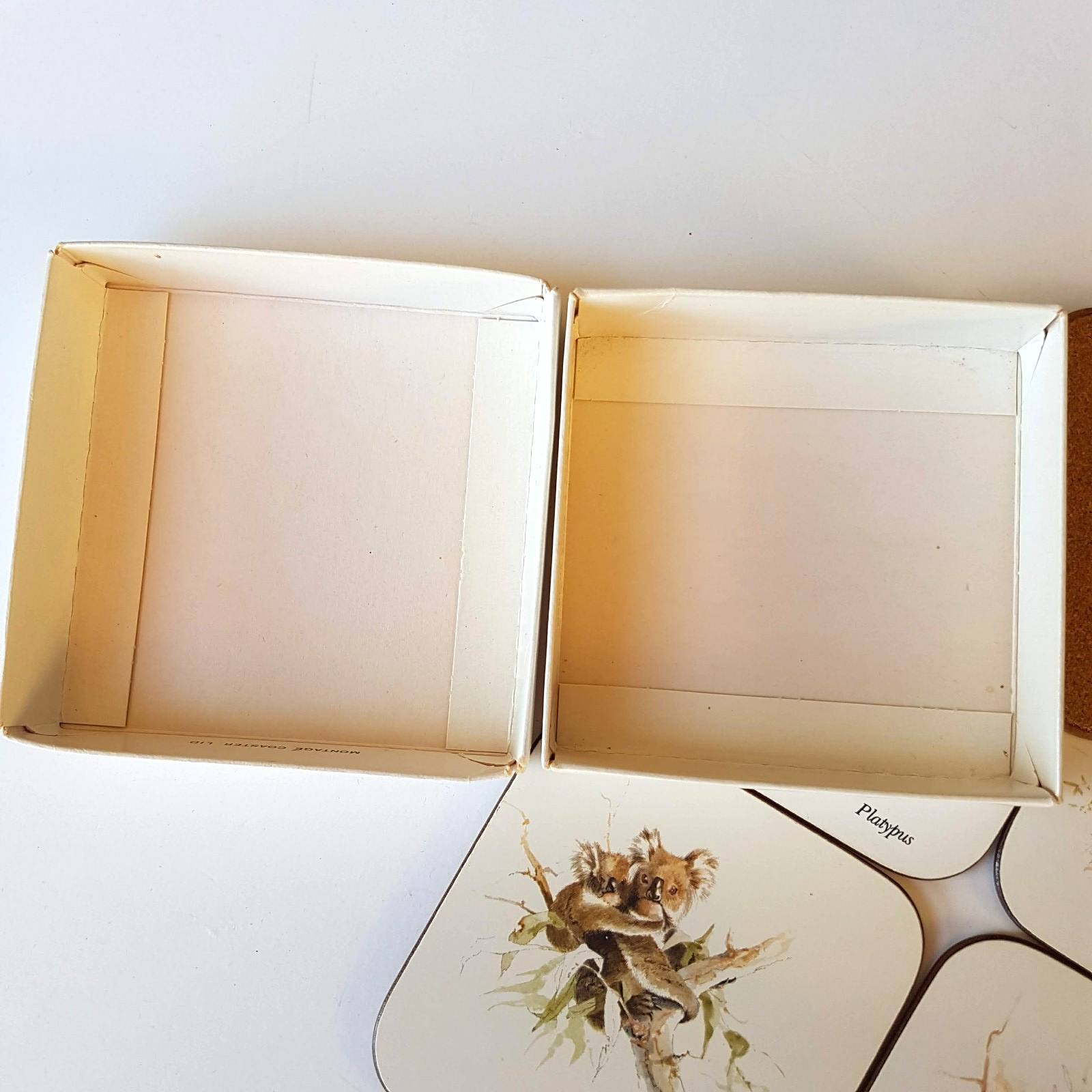 Australian Marsupials COASTER SET x 6 Watercolour Print Casa Collection Cork8