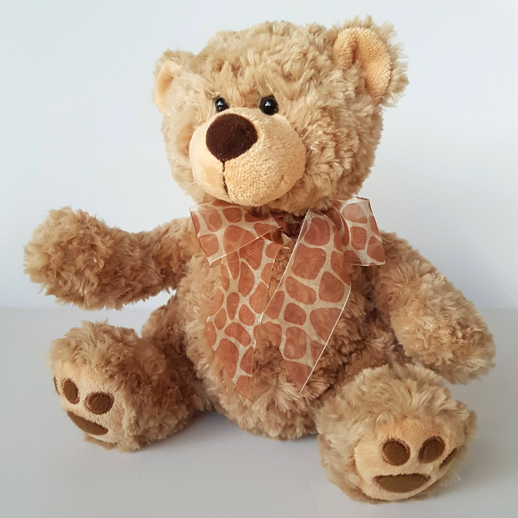 Soft Cuddles FREDDY TEDDY BEAR Beige 26cm Soft Toy Stuffed Animal Cuddly Cute0