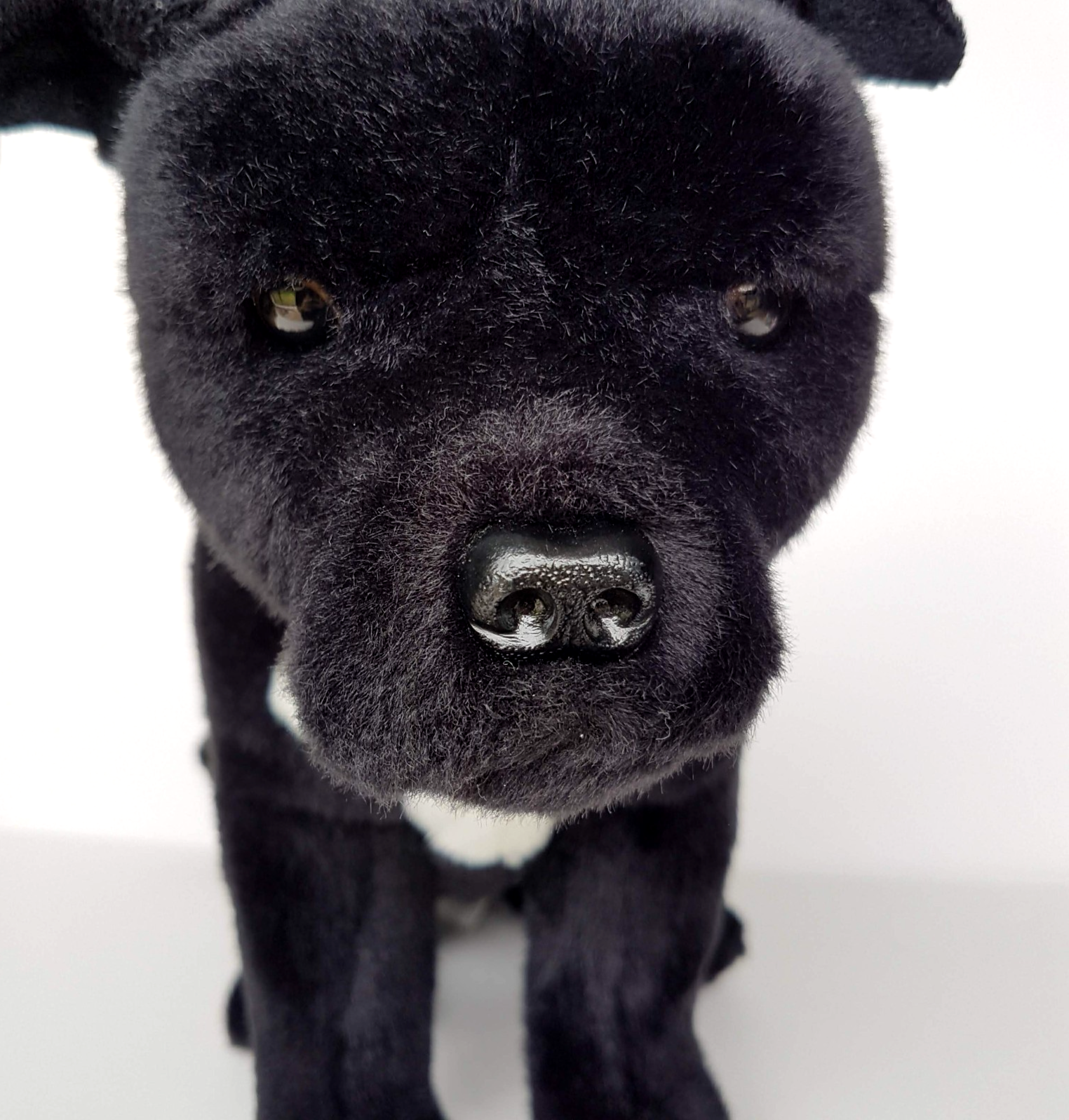Bocchetta BLACK STAFFY BULL Realistic Dog Plush 30cm Stuffed Animal Soft Toy Pet10