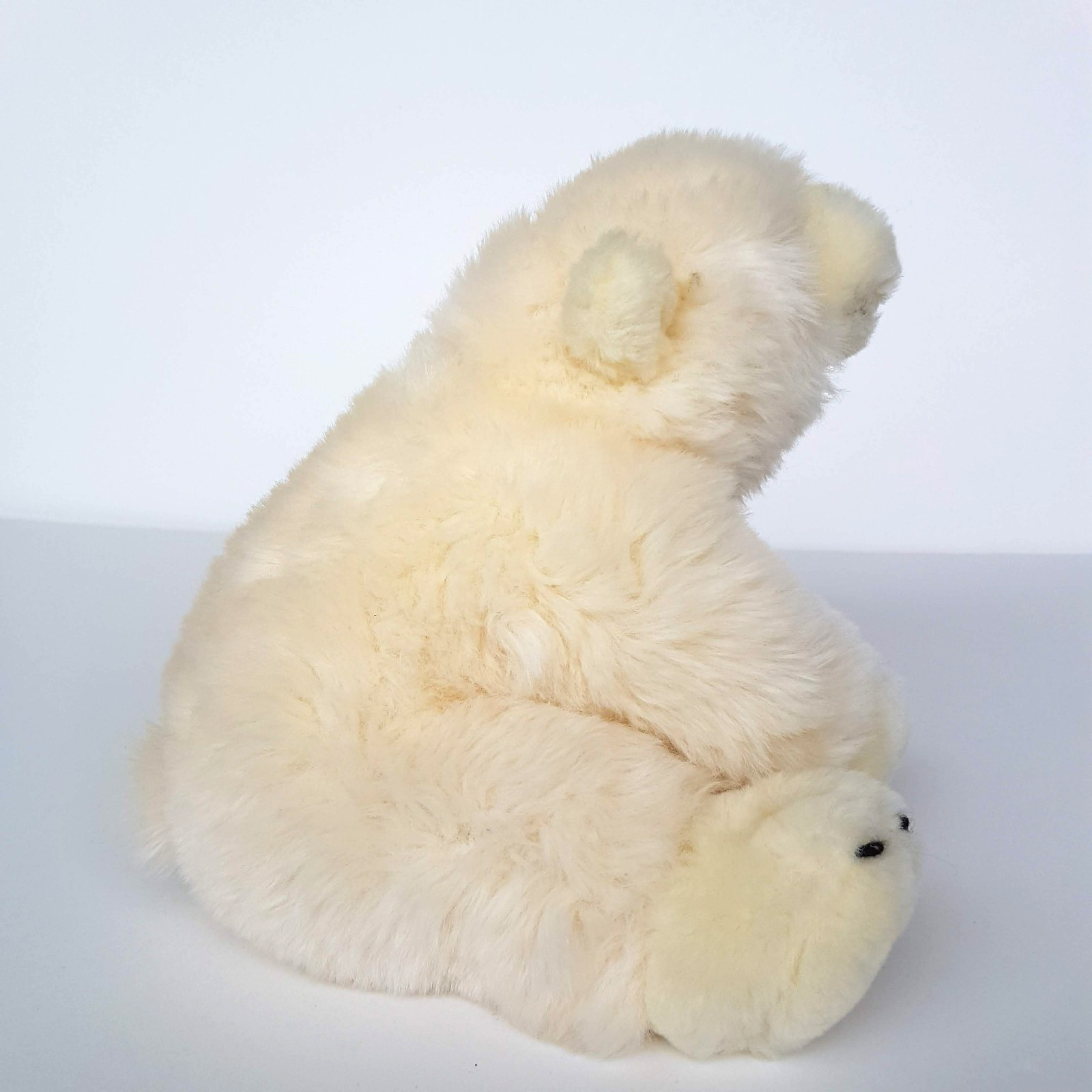 Sea World WHITE POLAR BEAR 19cm Stuffed Animal 2008 Arctic Bear Soft Toy Cute4