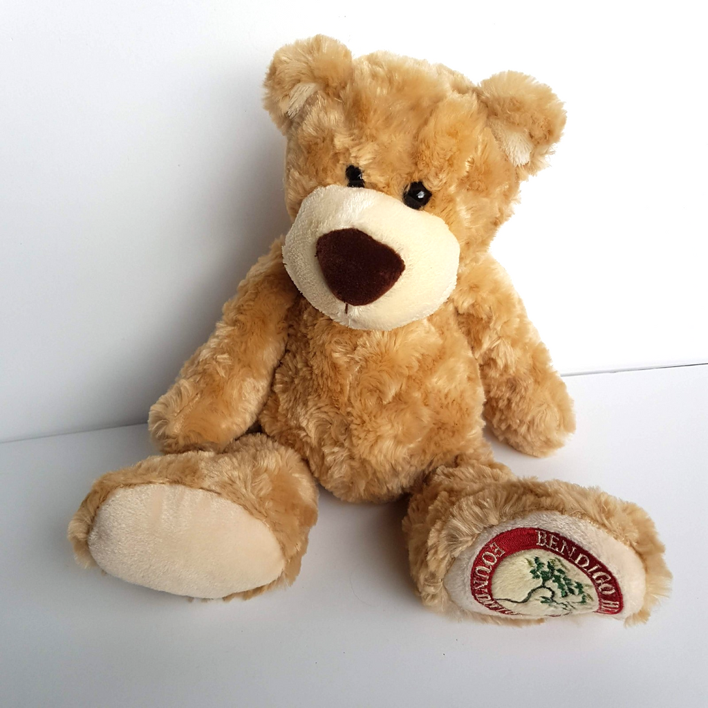 Tomfoolery BENDIGO HEALTH FOUNDATION Teddy Bear Plush Stuffed Animal Soft Toy6